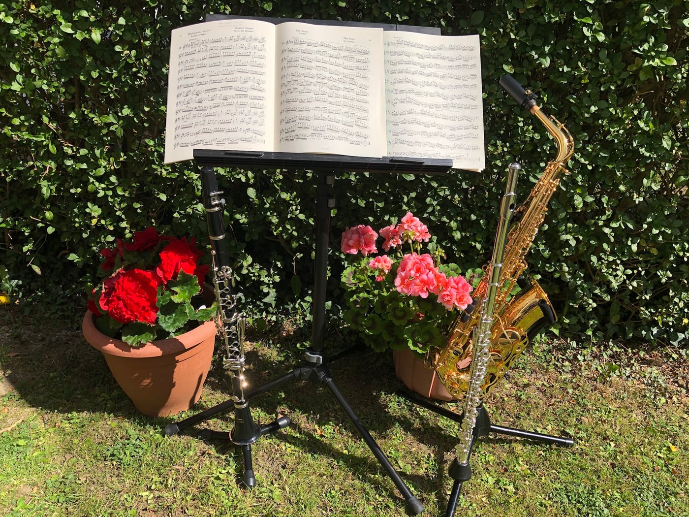 Sally Warner Music’s sheet music and woodwind instruments in a sunny garden